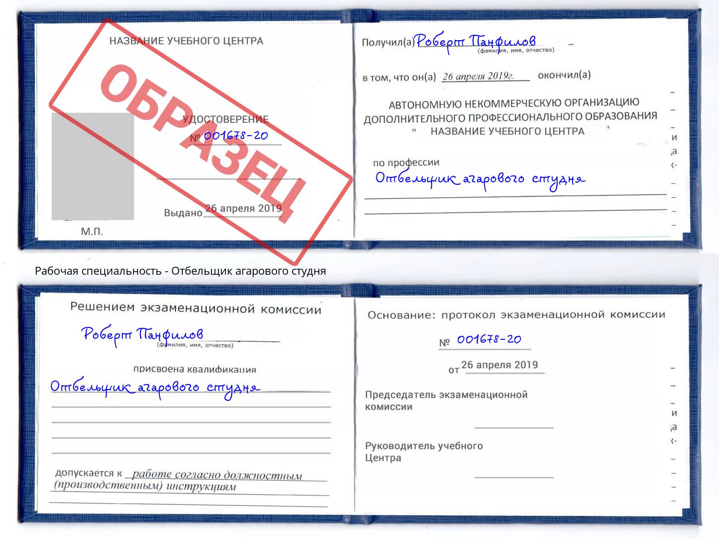 Отбельщик агарового студня Коряжма