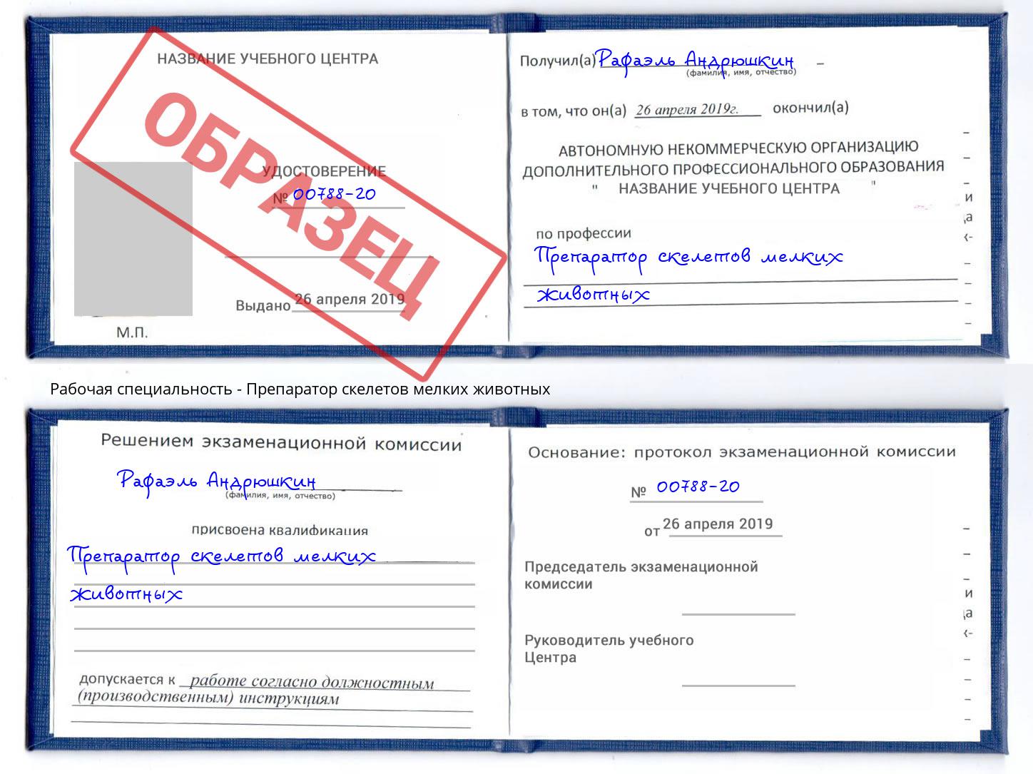 Препаратор скелетов мелких животных Коряжма