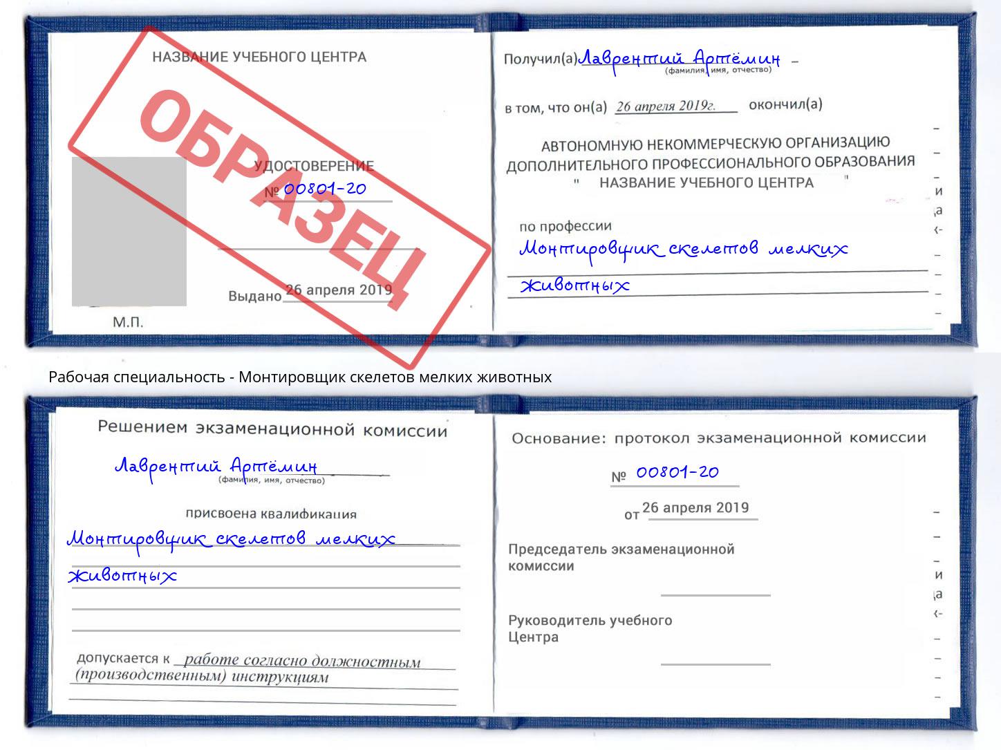 Монтировщик скелетов мелких животных Коряжма