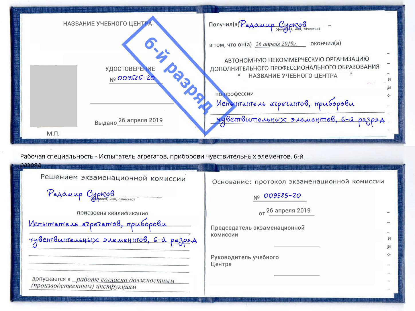 корочка 6-й разряд Испытатель агрегатов, приборови чувствительных элементов Коряжма