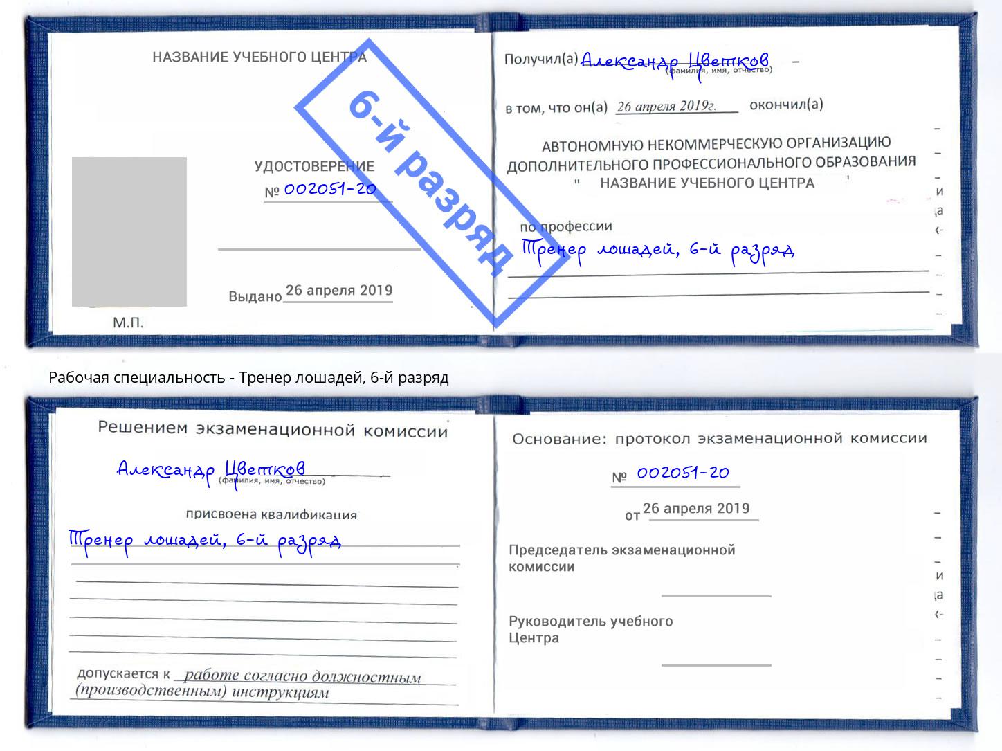 корочка 6-й разряд Тренер лошадей Коряжма